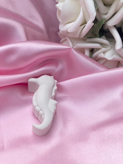 Paint your own Seahorse