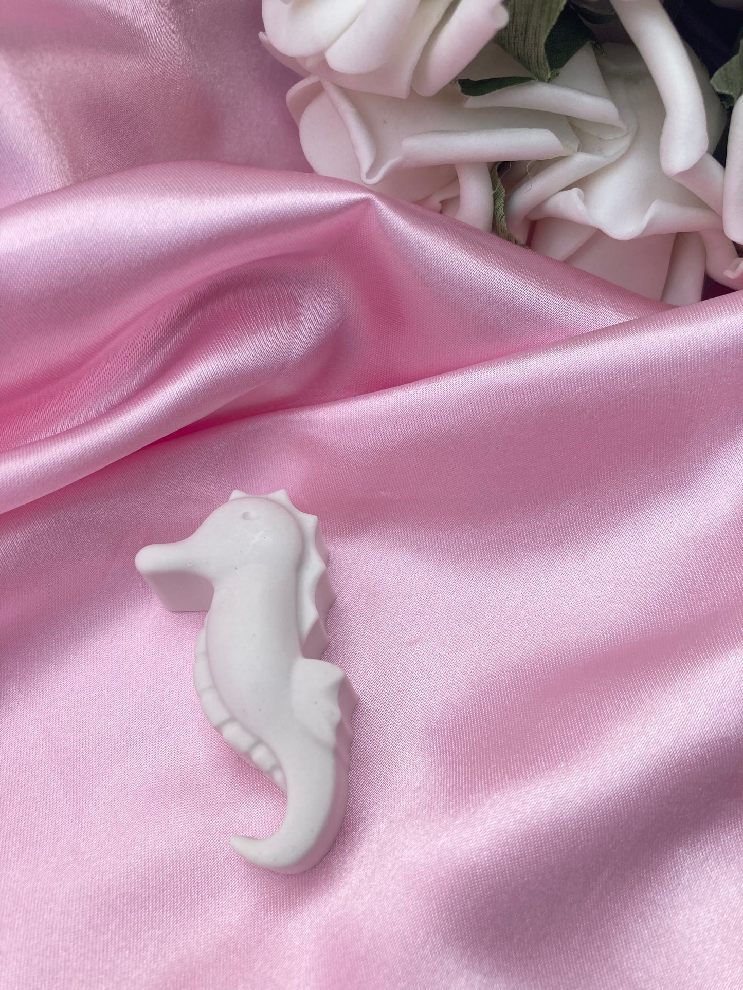 Paint your own Seahorse