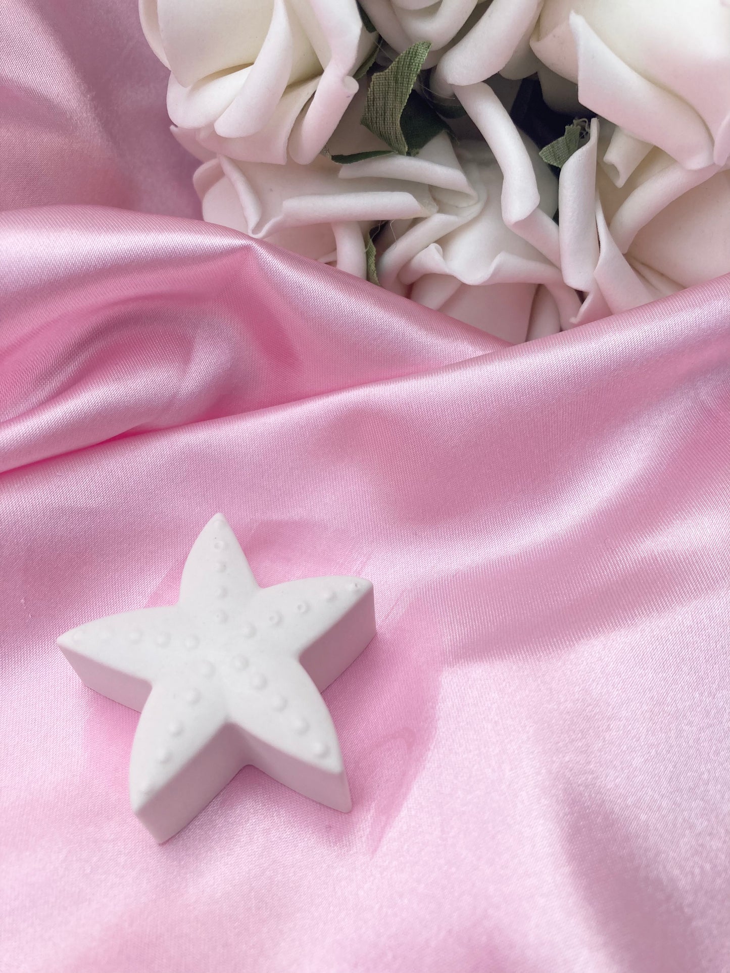 Paint your own starfish