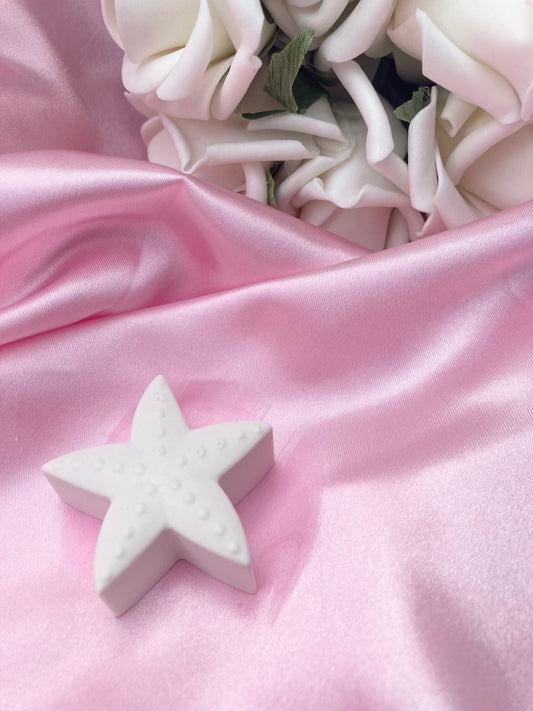 Paint your own starfish