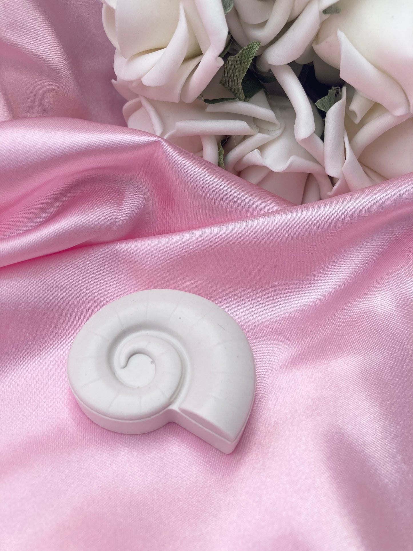 Paint your own shell