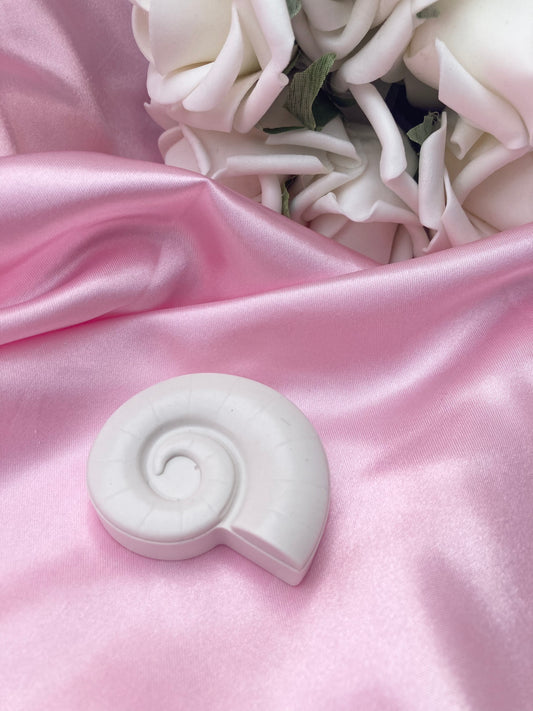 Paint your own shell