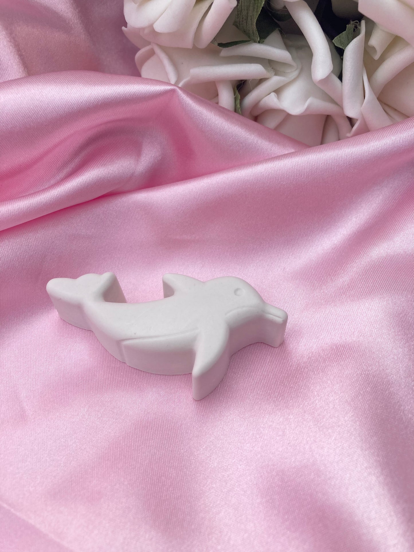 Paint your own Dolphin