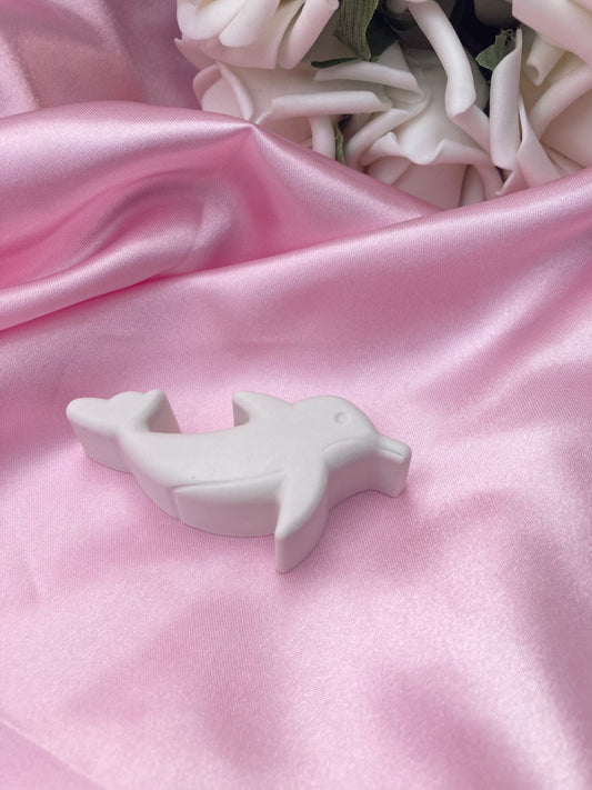 Paint your own Dolphin