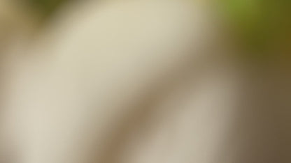 Mr & Mrs Wedding Favours